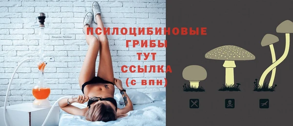не бодяженный Медвежьегорск