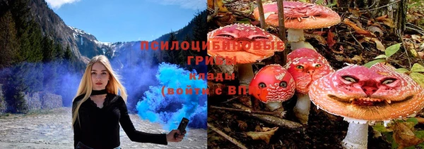 не бодяженный Медвежьегорск
