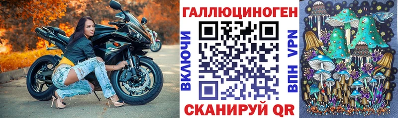 Псилоцибиновые грибы Psilocybine cubensis  Княгинино 